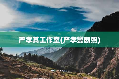 严孝其工作室(严孝燮剧照)