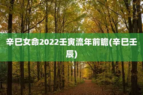 辛巳女命2022壬寅流年前瞻(辛巳壬辰)