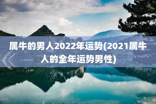 属牛的男人2022年运势(2021属牛人的全年运势男性)