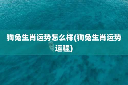 狗兔生肖运势怎么样(狗兔生肖运势运程)