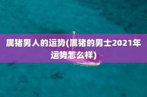属猪男人的运势(属猪的男士2021年运势怎么样)