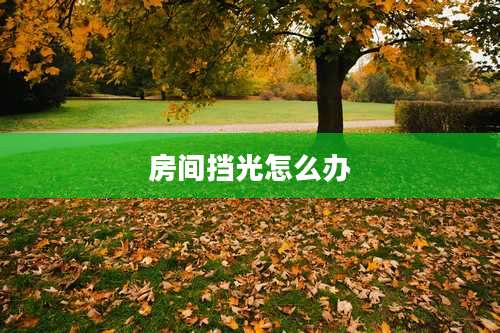 房间挡光怎么办