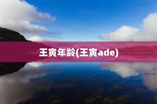 王寅年龄(王寅ade)
