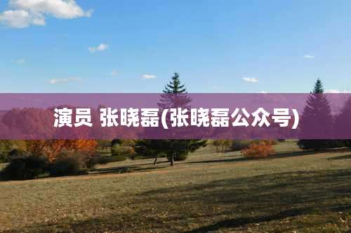 演员 张晓磊(张晓磊公众号)