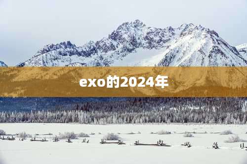 exo的2024年