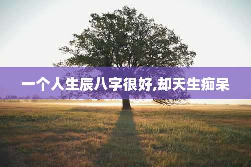 一个人生辰八字很好,却天生痴呆