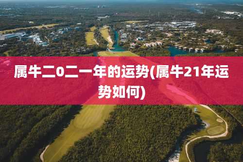 属牛二0二一年的运势(属牛21年运势如何)