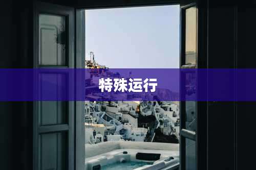 特殊运行