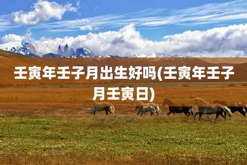 壬寅年壬子月出生好吗(壬寅年壬子月壬寅日)