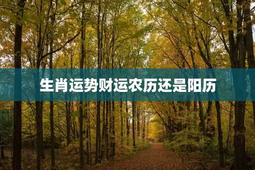 生肖运势财运农历还是阳历