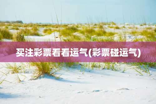 买注彩票看看运气(彩票碰运气)