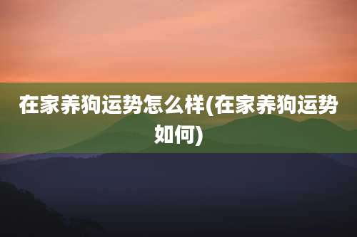 在家养狗运势怎么样(在家养狗运势如何)