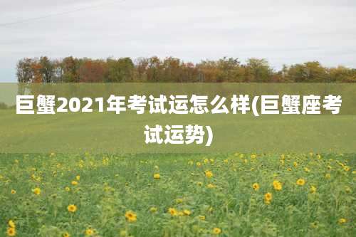巨蟹2021年考试运怎么样(巨蟹座考试运势)