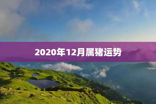 2020年12月属猪运势