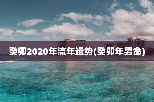 癸卯2020年流年运势(癸卯年男命)
