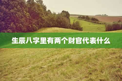 生辰八字里有两个财官代表什么