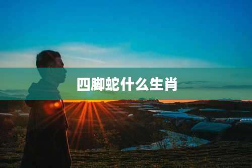 四脚蛇什么生肖