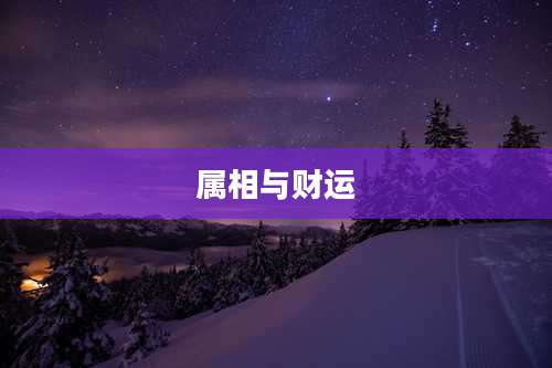 属相与财运