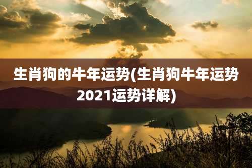 生肖狗的牛年运势(生肖狗牛年运势2021运势详解)