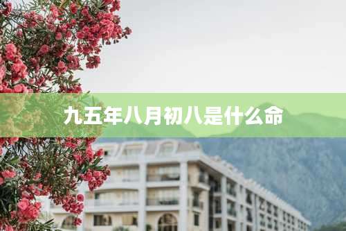 九五年八月初八是什么命
