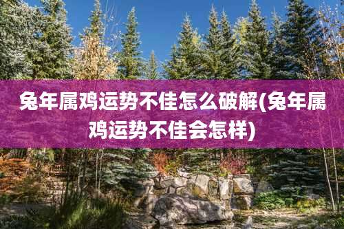 兔年属鸡运势不佳怎么破解(兔年属鸡运势不佳会怎样)