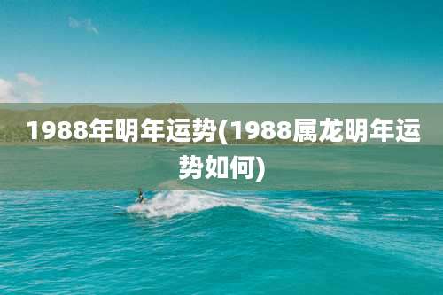 1988年明年运势(1988属龙明年运势如何)