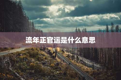 流年正官运是什么意思