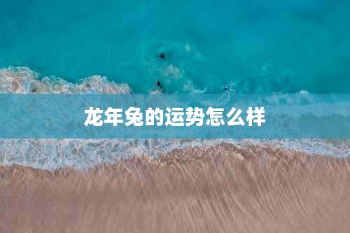 龙年兔的运势怎么样