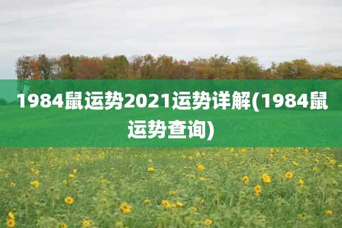 1984鼠运势2021运势详解(1984鼠运势查询)