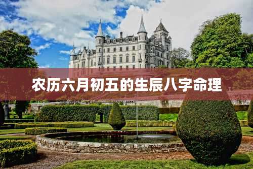 农历六月初五的生辰八字命理