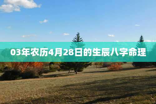 03年农历4月28日的生辰八字命理