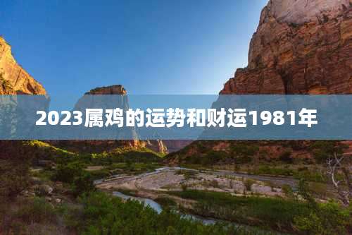 2023属鸡的运势和财运1981年
