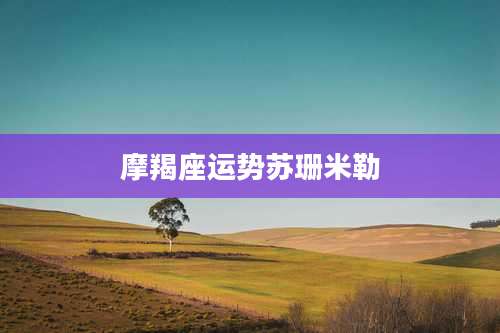 摩羯座运势苏珊米勒