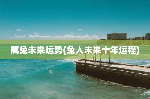 属兔未来运势(兔人未来十年运程)