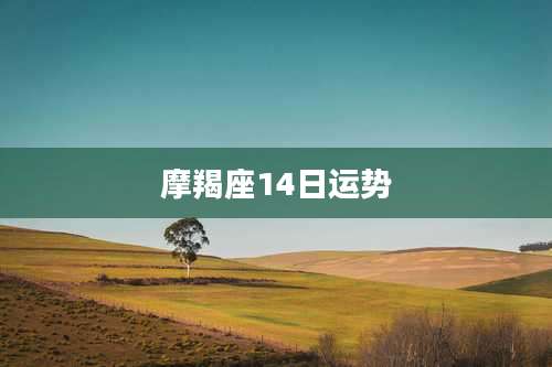 摩羯座14日运势