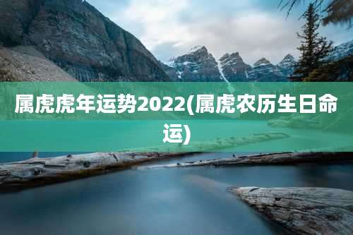 属虎虎年运势2022(属虎农历生日命运)
