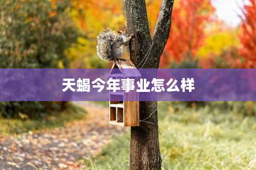 天蝎今年事业怎么样