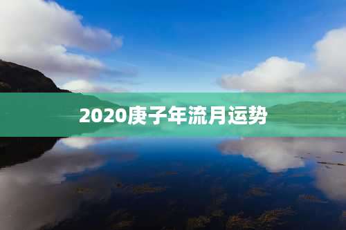2020庚子年流月运势