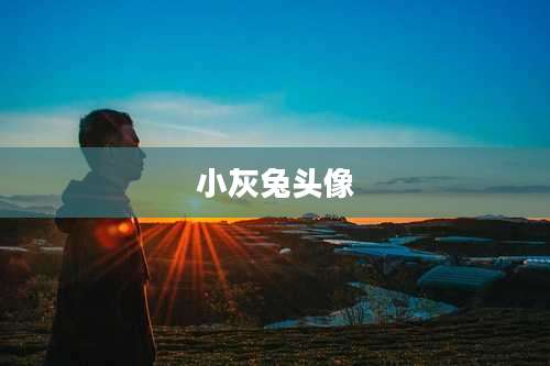 小灰兔头像