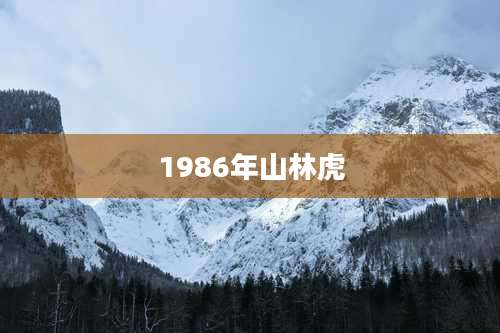 1986年山林虎