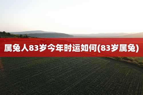 属兔人83岁今年时运如何(83岁属兔)