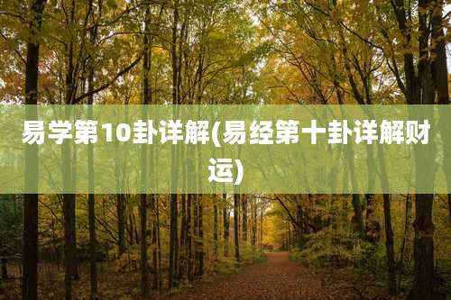 易学第10卦详解(易经第十卦详解财运)