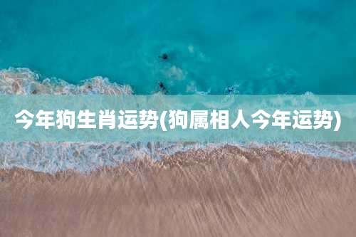 今年狗生肖运势(狗属相人今年运势)