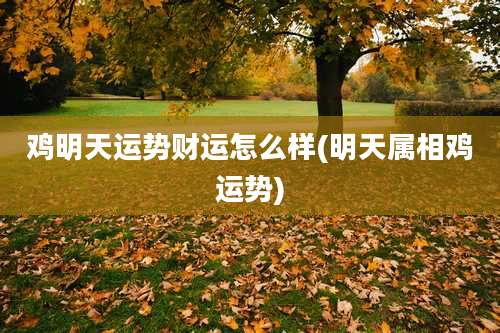 鸡明天运势财运怎么样(明天属相鸡运势)