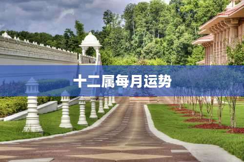 十二属每月运势