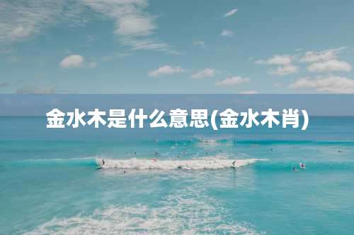 金水木是什么意思(金水木肖)