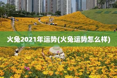 火兔2021年运势(火兔运势怎么样)