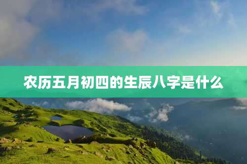 农历五月初四的生辰八字是什么