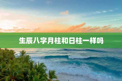 生辰八字月柱和日柱一样吗