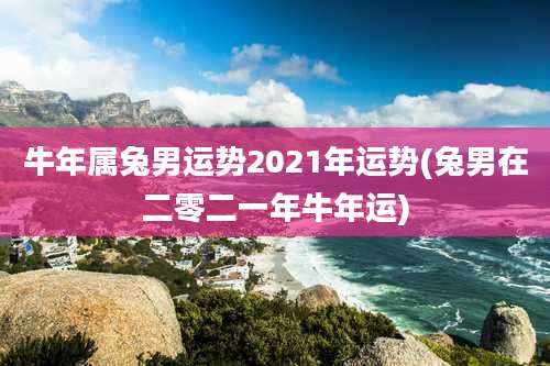 牛年属兔男运势2021年运势(兔男在二零二一年牛年运)
